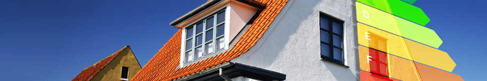 Banner - Werner Lüger